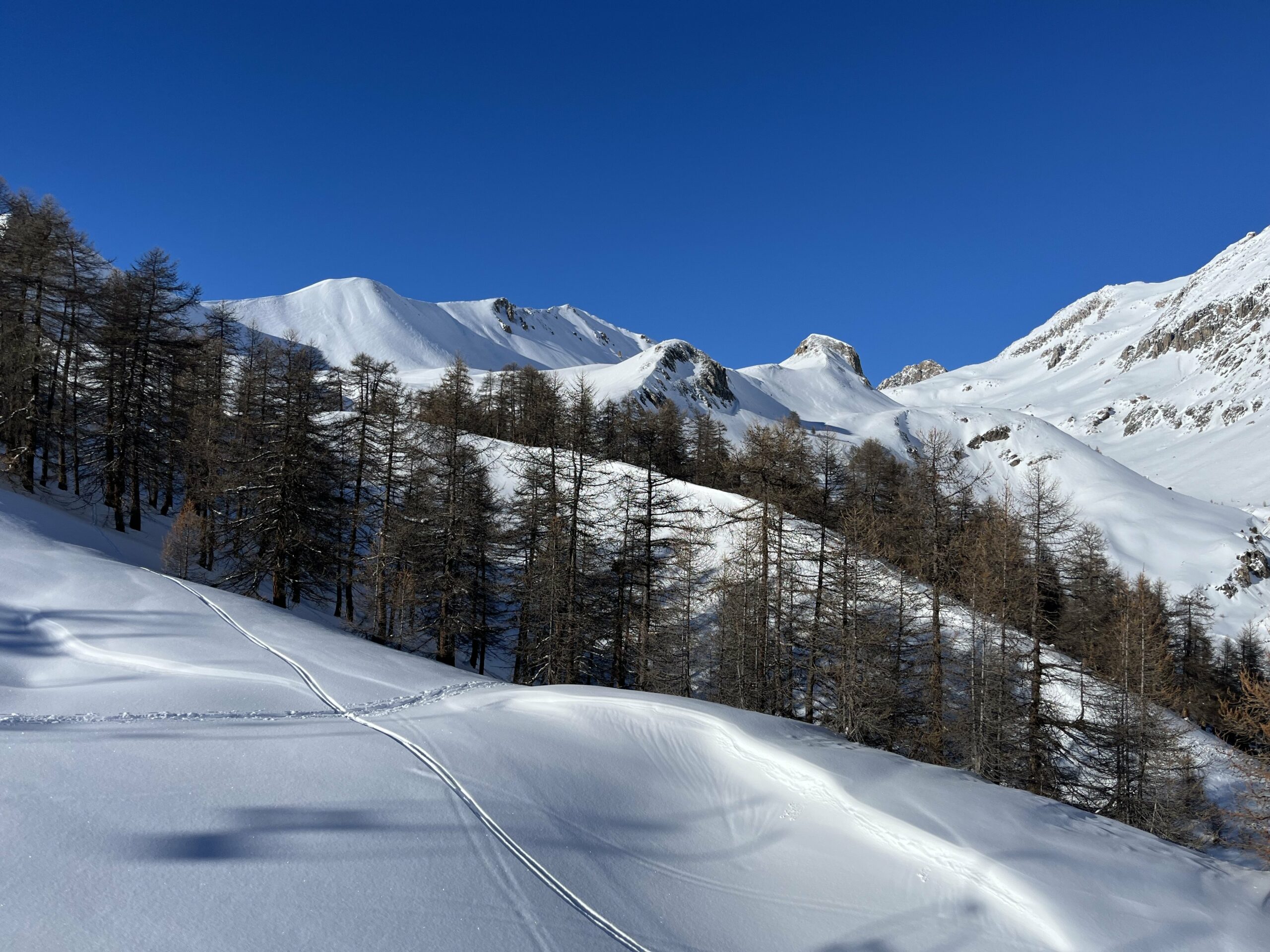 Piste ou hors-piste, il y en a pour tous les goûts